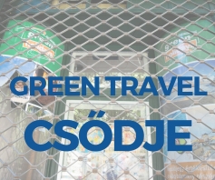 Green Travel csődje