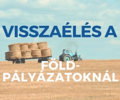 Visszaélés a földpályázatoknál